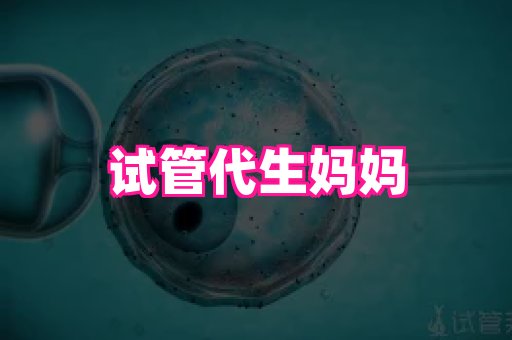 123试管孕网 4